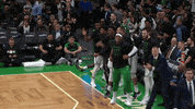 Nba Playoffs Fun GIF by NBA
