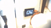 Outings GIF by K-Trap