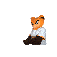Ncaa Mascot Sticker by Rowan University