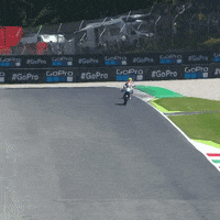 winning jorge lorenzo GIF by MotoGP