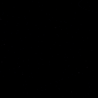 Celebration Hockey GIF by Eisbären Berlin