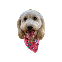 Dog Sticker by Geekster Pets