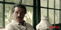 GIF by NETFLIX