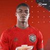Premier League Football GIF by BT Sport