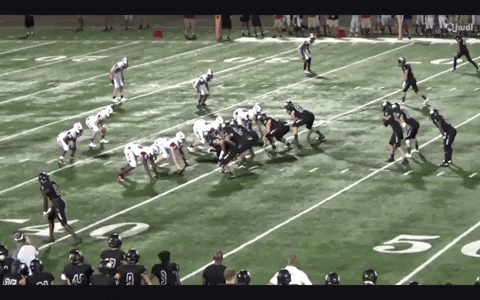 isu wrnl GIF