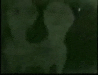 Twins Visuals GIF by Luis Ricardo