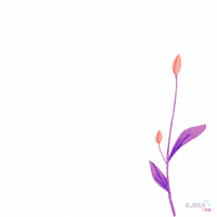 ilissaandco bloom growth empowerment self-esteem GIF