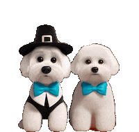 Dogs Thanksgiving Sticker by HammyandBrody