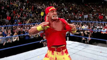 Hulk Hogan Wwe GIF