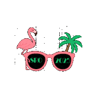 Southern Region Oireachtas Sticker by KAID