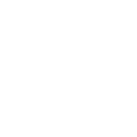 Beer Cheers Sticker by The Sydney Collective