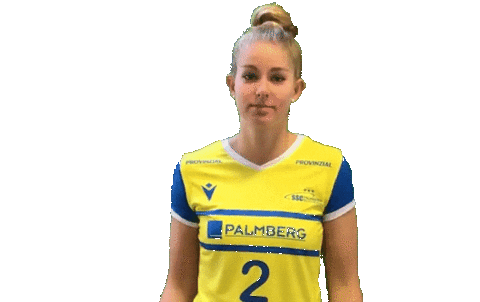 SSCPalmberg_Schwerin giphyupload volleyball ssc schwerin Sticker