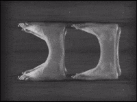 Black And White Art GIF