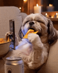 Dog Eating GIF