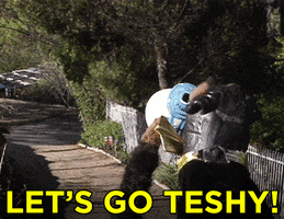 triumph the insult comic dog conan25 GIF by Team Coco