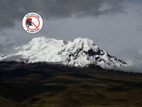 You Can Wow GIF by FranchiseONE.de