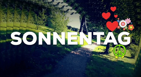 stephanckoehler abwisdwc ckoehler nichtsgetan sonnentag GIF