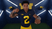 Go Blue College Football GIF by Michigan Athletics