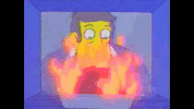 hams GIF