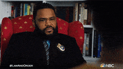 Season 21 Episode 6 GIF by Law & Order