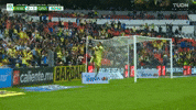 Henry Martin Celebration GIF by Club America