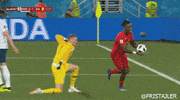 Storelli_Sports  GIF