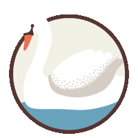 22StreetLane swans 22 street lane nursery logo 22sln logo 22 street lane nursery branding Sticker