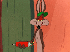 Wile E Coyote Oops GIF by Looney Tunes