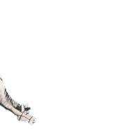Horse Sticker