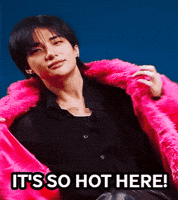 Stray Kids Skz GIF