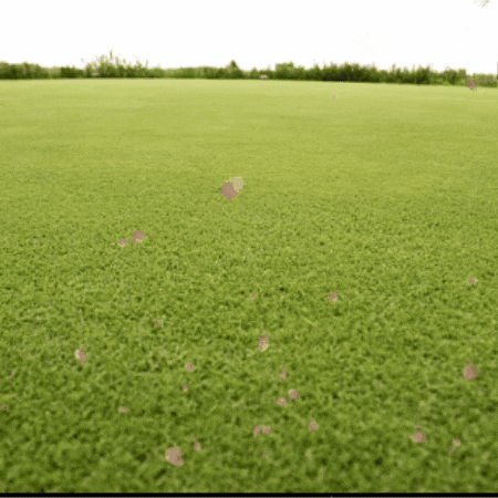 Friends Meet Up GIF by TeaCosyFolk