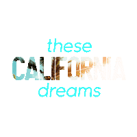 california dreamin westside Sticker by NETFLIX