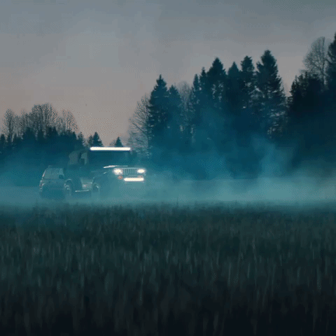 GIF by Alan Walker