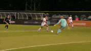 SkyBlueFC goal nwsl celly carli lloyd GIF