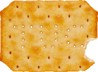 TUCmdlz bite optical illusion bitten tuc GIF