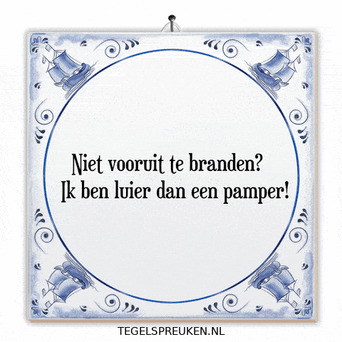Humor Nl GIF by Tegelspreuken.nl