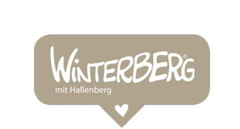 ferienweltwinterberg giphyupload Sticker