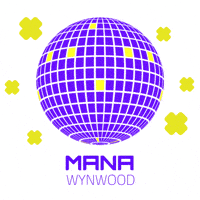 Disco Ball Mana Wynwood GIF by Mana Common