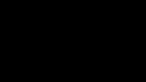 GIF by Partisan Records