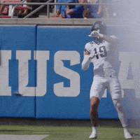 Celebration Go Frogs GIF by TCU Football