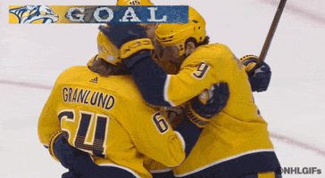 Celebrate Ice Hockey GIF by NHL