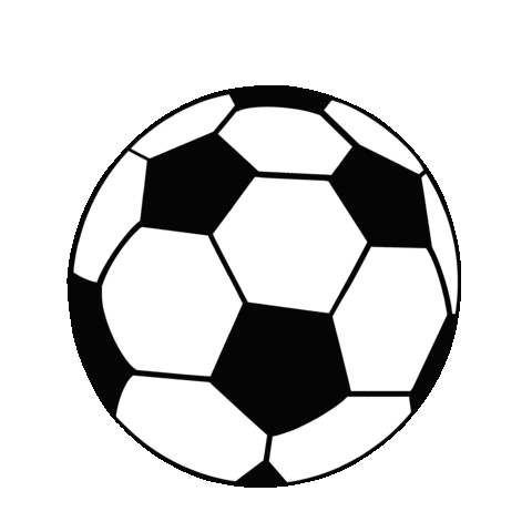 World Cup Football Sticker by sylterinselliebe