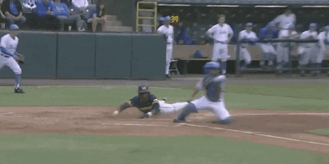 college baseball sport GIF by NCAA Championships