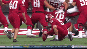 gostanford  GIF
