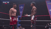 Cwfh GIF by United Wrestling Network