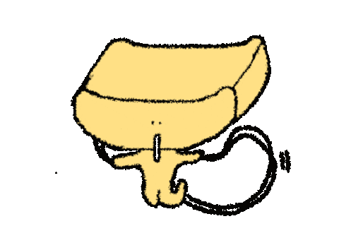 Jump Crossfit Sticker