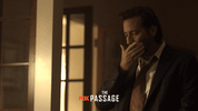 the passage fox GIF