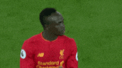 lfc liverpool red kit GIF by Liverpool FC