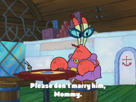 season 4 enemy in-law GIF by SpongeBob SquarePants