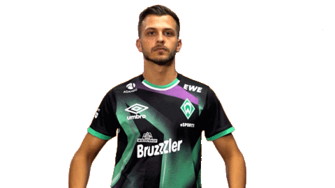Esports Fabio Sticker by SV Werder Bremen